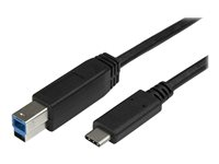 StarTech.com USB C to USB B Printer Cable - 6 ft / 2m - USB C Printer Cable - USB C to USB B Cable - USB Type C to Type B (USB315CB2M) - USB-kabel - USB-C (hann) til USB Type B (hann) - USB 3.1 Gen1 - 2 m - for P/N: HB30C5A2CSC, HBS304A24A, SV231DHU34K6, SV231HU34K6, SV231QDPU34K, SV431HU34K6 USB315CB2M