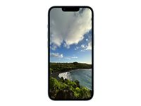 Apple iPhone 14 Plus - 5G smartphone - dobbelt-SIM / Internminne 128 GB - OLED-display - 6.7" - 2778 x 1284 piksler - 2x bakkameraer 12 MP, 12 MP - front camera 12 MP - blå MQ523QN/A