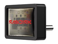 SanDisk Extreme Fit - USB-flashstasjon - 256 GB - USB-C 3.2 Gen 1 SDCZ530-256G-G46