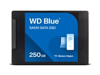 WD Blue SA510 - SSD - 250 GB - intern - 2.5" - SATA 6Gb/s WDS250G3B0A-00AXR0