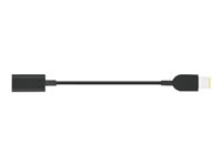 Lenovo USB-C to Slim-tip Cable Adapter - Strømkoblingsadapter - 24 pin USB-C hunn til strøm hann 4X90U45346