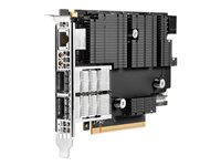 HPE InfiniBand NDR200 MCX755106AC-HEAT Adapter - Nettverksadapter - PCIe 5.0 x16 - 200Gb Ethernet / 200Gb Infiniband x 2 P65333-B21