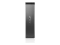 SanDisk Professional PRO-BLADE SSD Mag - SSD - 2 TB - ekstern (bærbar) SDPM1NS-002T-GBAND
