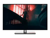 Lenovo ThinkVision P27h-30 - LED-skjerm - QHD - 27" - med ThinkVision MC 60 monitor webcam 63A1ZAT1EU