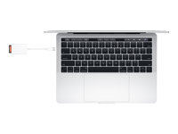 Apple USB-C to SD Card Reader - Kortleser (SD UHS-II) - USB-C MW653ZM/A